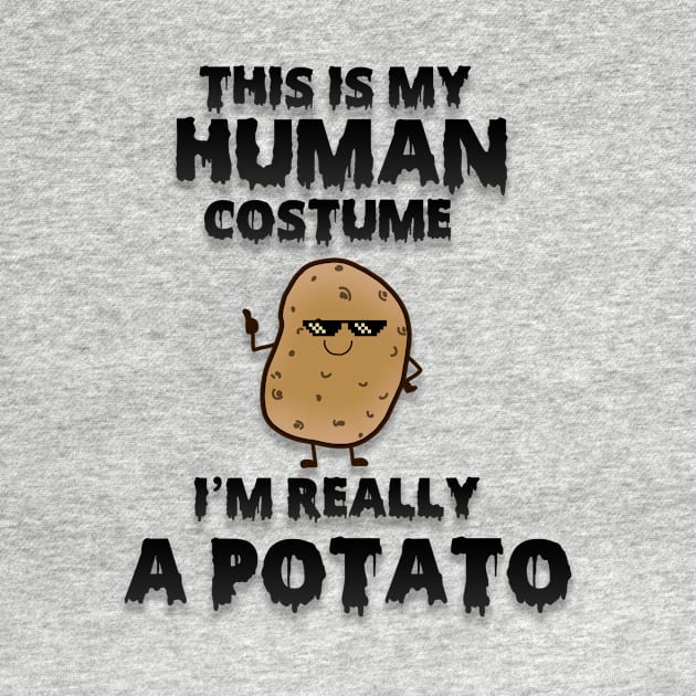 This is my human costume i'm really a potato by D_creations